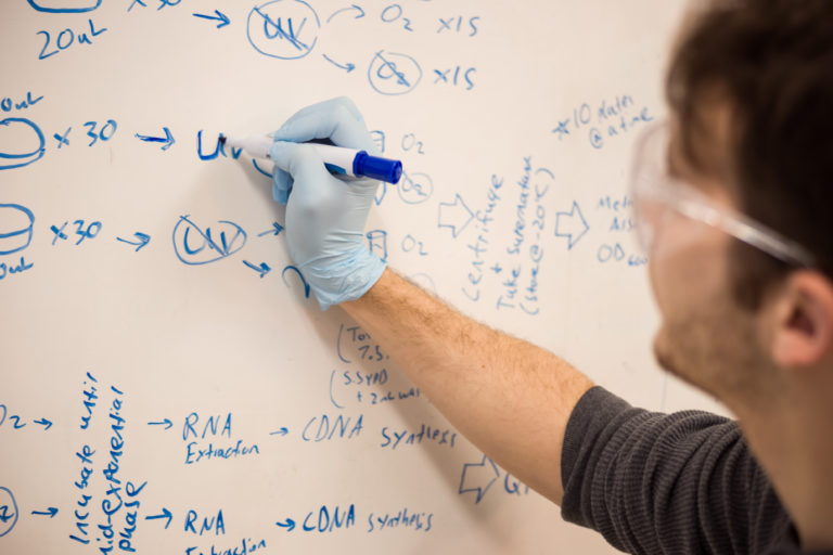 Research proposal cam picture